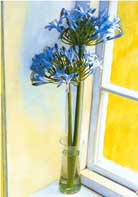 Flowers by the Window